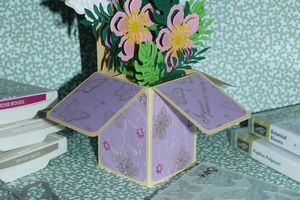 Jardin botanique carte box