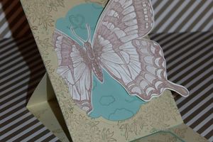 Carte d'anniversaire