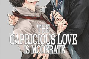 The capricious love is moderate