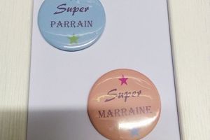Le petit nouveau "le magnet"