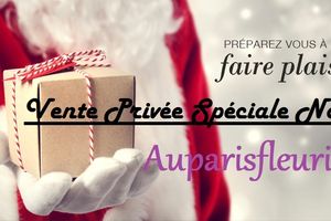 ☆ ☆ ☆ Vente privée de Noël Auparisfleuri ☆ ☆ ☆