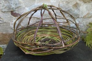 Vannerie facile : le panier en glycine