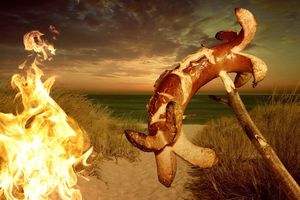 Le défi : cuisiner en vacances (avec juste une plaque de cuisson)