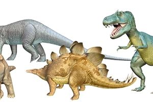 Les dinosaures.