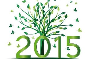 Bilan de 2015.