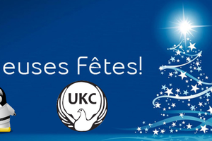 Bonne année 2016