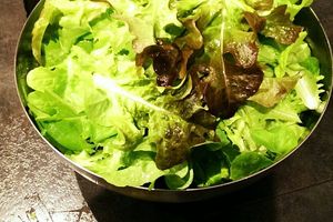 Salade : encore une récolte le 20 novembre