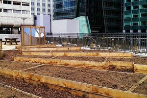 Un Potager au Coeur de la Defense