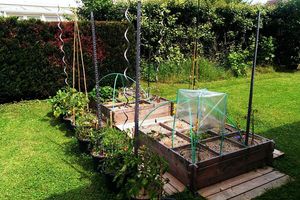 Déménager son potager