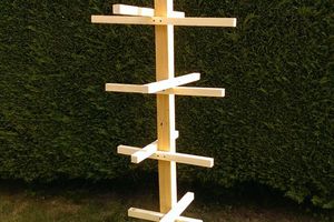 Un Arbre à Capucine pour éloigner les pucerons