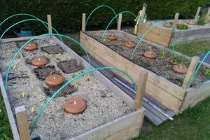 Mai : Un potager au bord de l'explosion de Vie