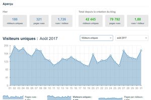 42 000 visiteurs uniques et 80 000 pages vues