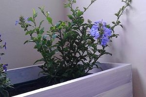 DIY - Créer une jardinière pour le balcon