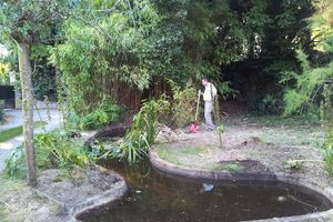 Cultiver son jardin