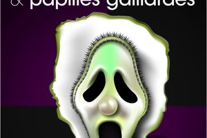 Sauvons du pilon Délires éthyliques & papilles gaillardes !