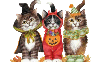 Joyeux Halloween...
