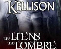 Les Liens de l'Ombre - tome 1 - série L'Ombre - de Erin KELLISON