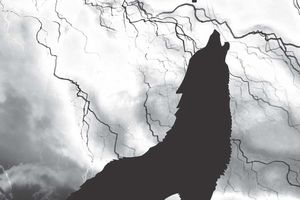 L'Orme aux Loups - de Thierry BERLANDA