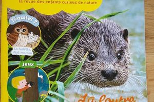 Le magazine Salamandre, pour petits et grands !