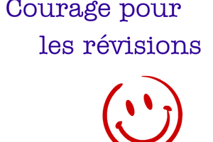 Révisions des oraux