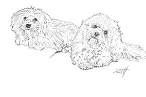 Mes derniers dessins