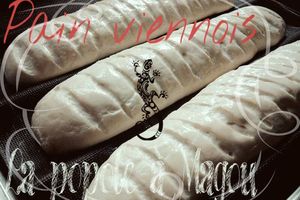 Pain viennois