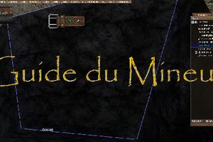 Guide du mineur.