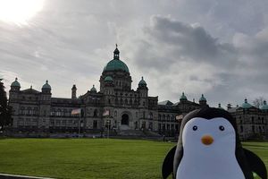 Le Pingouin sur l'île de Vancouver !!