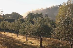 Vive l'automne !