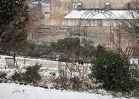 Il neige !