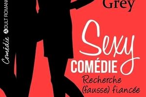 Chronique 2-17: sexy comédie: recherche (fausse) fiancée, l'intégrale de Kim Grey