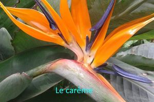 Livret de prière pour le carême 2017