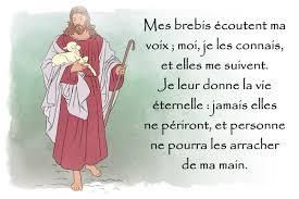 Homélie du 20ème dimanche après la Pentecôte: Les brebis du Seigneur (2017)