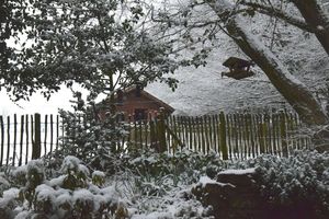 Parler de la pluie et du beau temps