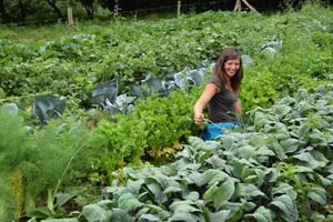 La ferme "à La Source" à Redu : un potager pour penser...et agir