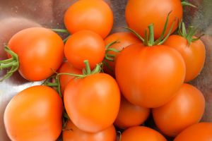Une tomate orange inconnue et une recette de confiture