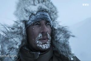 Vincent Munier, il a rencontré le loup blanc, inapproché par l'homme depuis 25 ans