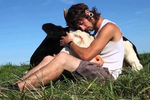 De quel droit exploitons-nous les animaux ?