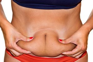 The Fat Diminisher System