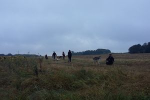 5ème Randonnée Canine : Fougères sur Bièvre le 18/09/2016