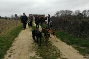 8ème Rando Canine : Cellettes le 26.02.2017