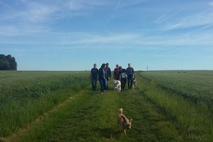 11ème Rando Canine : Ouchamps le 21/05/2017