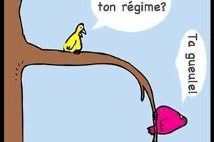 la fille ordinaire part en cure (partie 1)