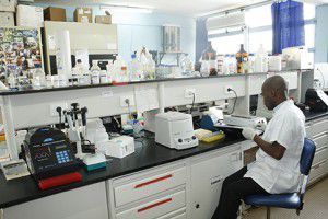 Le Mali: premier investisseur d’Afrique francophone en matière de recherche