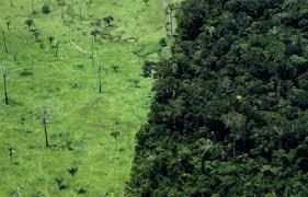 Environnement: la Terre vivra à crédit dès mercredi