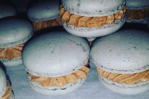 Macarons au thermomix