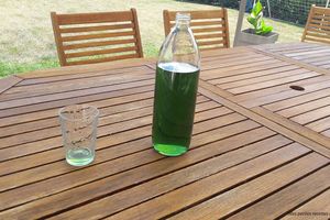 Sirop de menthe fraîche