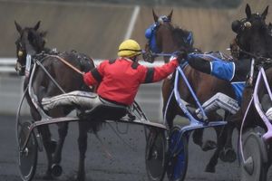 Sélection du 14 février à Vincennes
