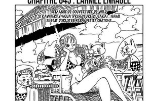 One Pièce Chapitre 845 FR