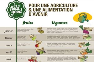 Les curds